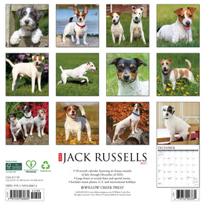 Willow Creek Press - 2027 Jack Russells Calendar