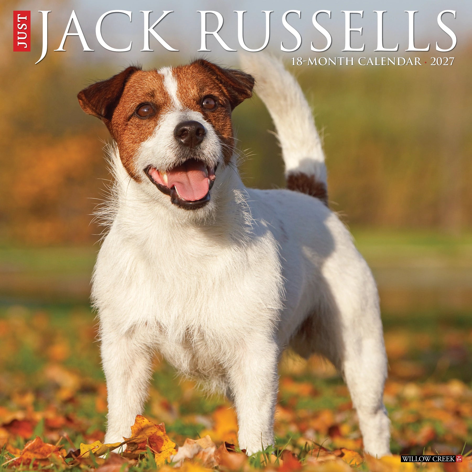 Willow Creek Press - 2027 Jack Russells Calendar