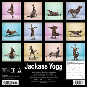 Willow Creek Press - 2027 Jackass Yoga Calendar