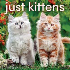 Willow Creek Press - 2027 Kittens Calendar