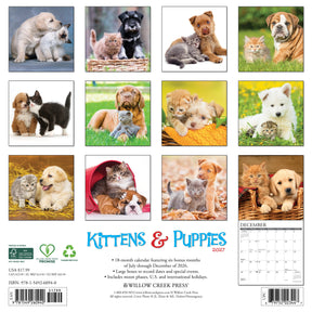 Willow Creek Press - 2027 Kittens & Puppies Calendar