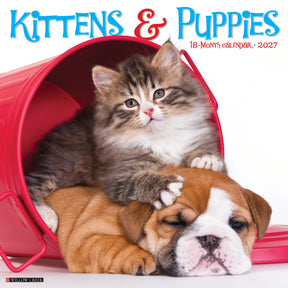 Willow Creek Press - 2027 Kittens & Puppies Calendar