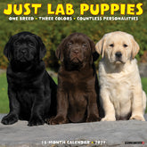 Willow Creek Press - 2027 Lab Puppies Calendar