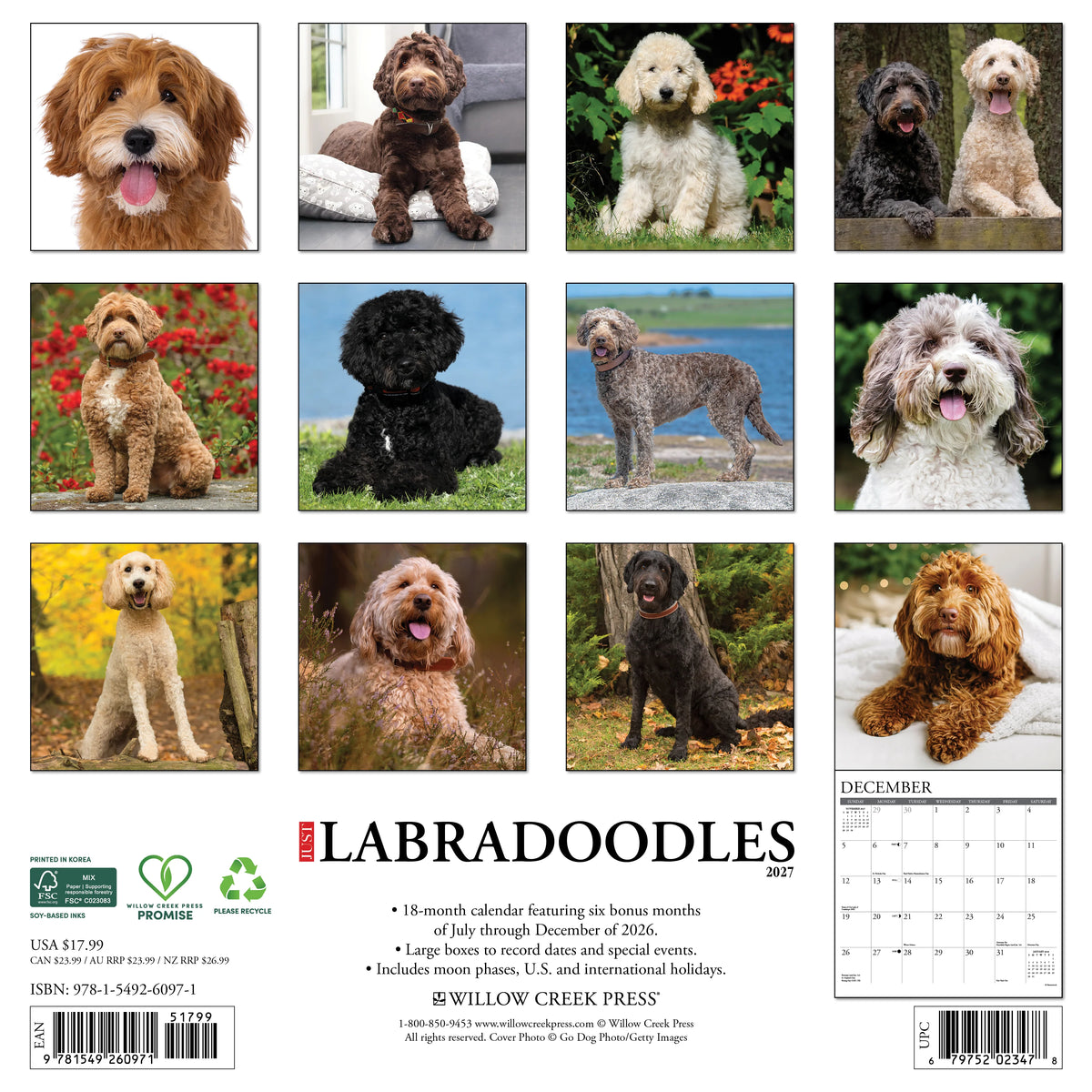 Willow Creek Press - 2027 Labradoodles Calendar