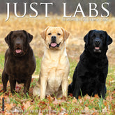 Willow Creek Press - 2027 Labs Calendar