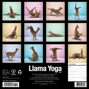 Willow Creek Press - 2027 Llama Yoga Calendar