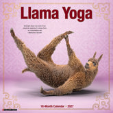 Willow Creek Press - 2027 Llama Yoga Calendar