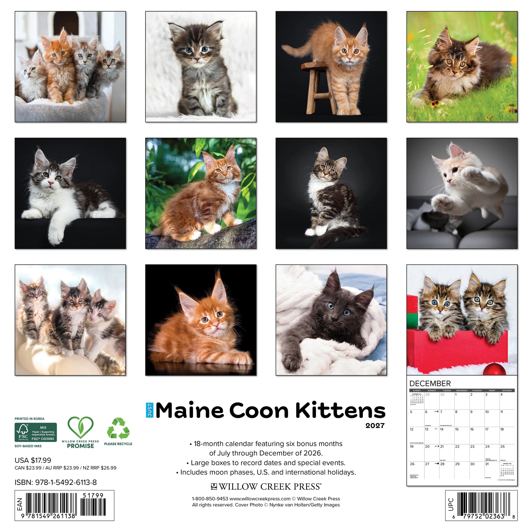Willow Creek Press - 2027 Maine Coon Kittens Calendar