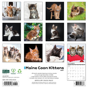 Willow Creek Press - 2027 Maine Coon Kittens Calendar
