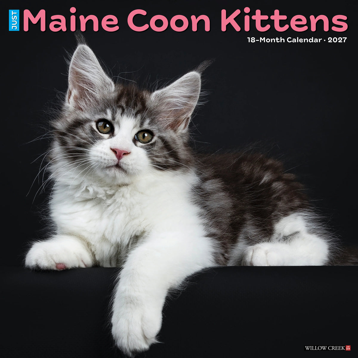 Willow Creek Press - 2027 Maine Coon Kittens Calendar