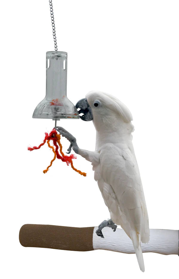 Foraging Capsule Caitec - Bird Foraging Capsule