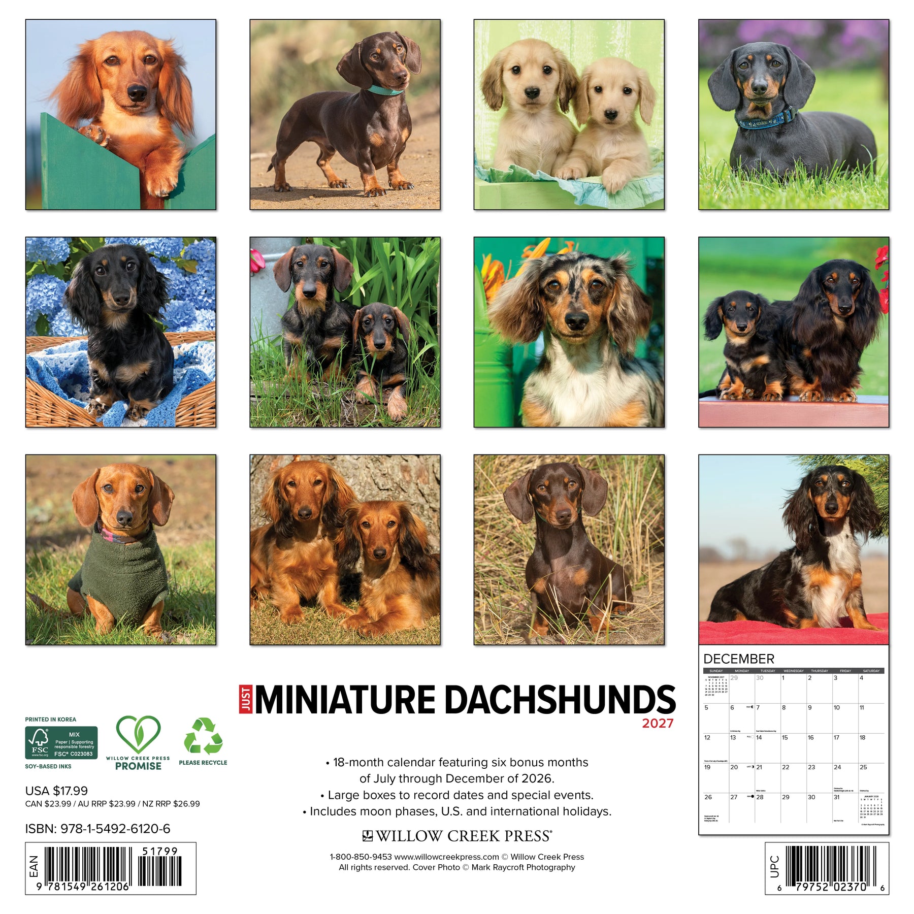 Willow Creek Press - 2027 Miniature Dachshunds Calendar