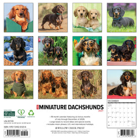 Willow Creek Press - 2027 Miniature Dachshunds Calendar