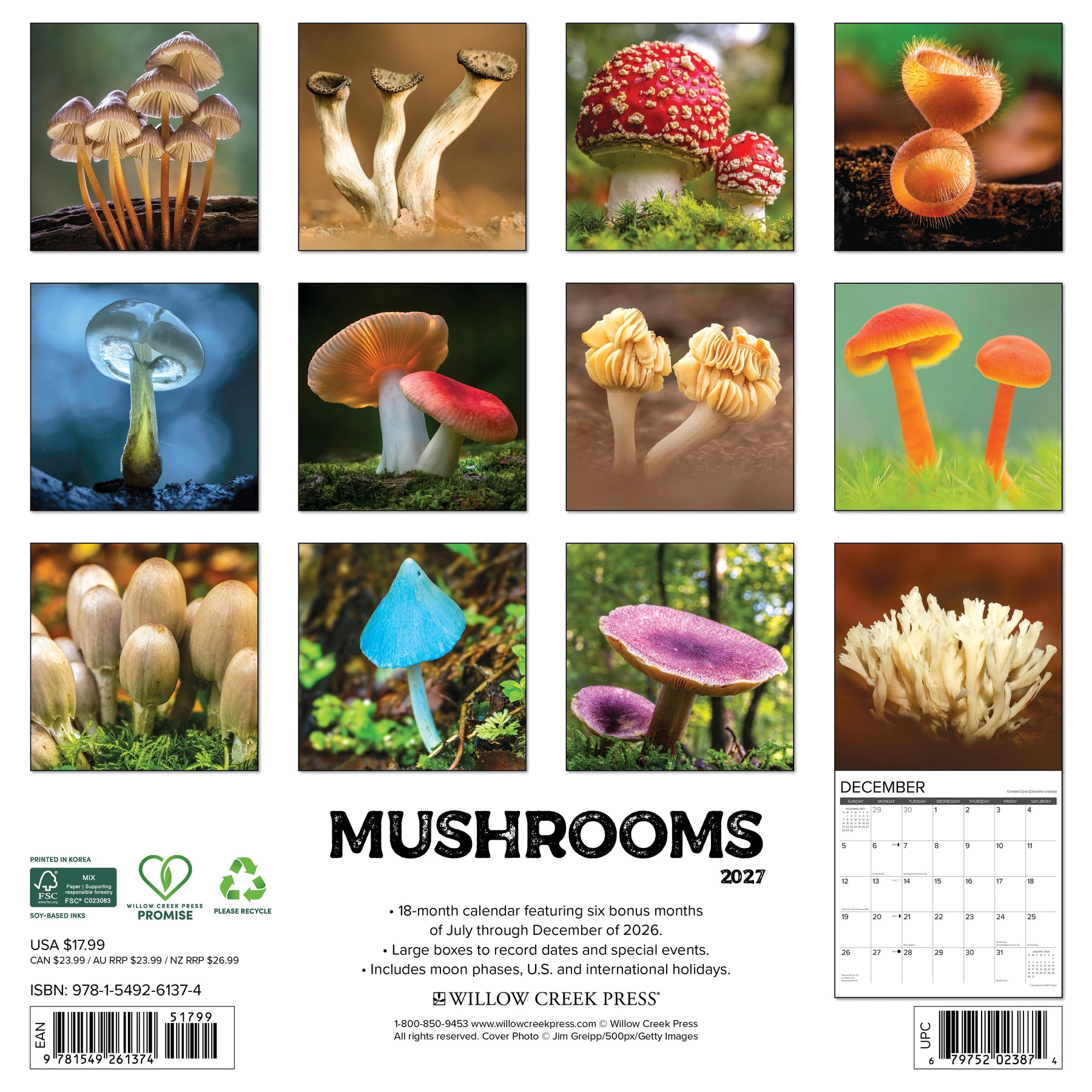 Willow Creek Press - 2027 Mushrooms Calendar