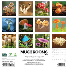 Willow Creek Press - 2027 Mushrooms Calendar
