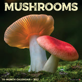 Willow Creek Press - 2027 Mushrooms Calendar