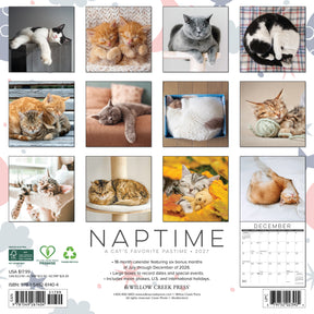 Willow Creek Press - 2027 Naptime: A Cats Favorite Calendar
