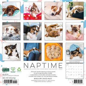 Willow Creek Press - 2027 Naptime: Dogs & Puppies On Their Best Behavior Calendar