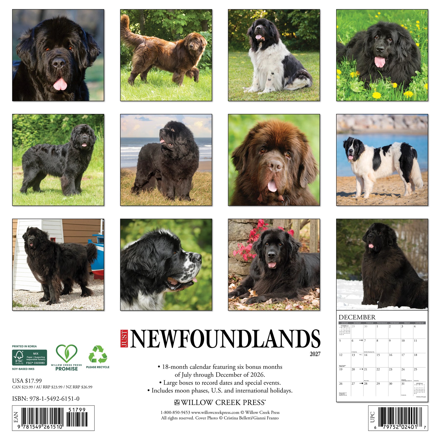Willow Creek Press - 2027 Newfoundlands Calendar