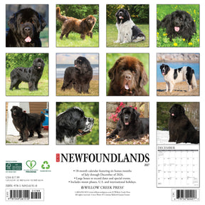 Willow Creek Press - 2027 Newfoundlands Calendar