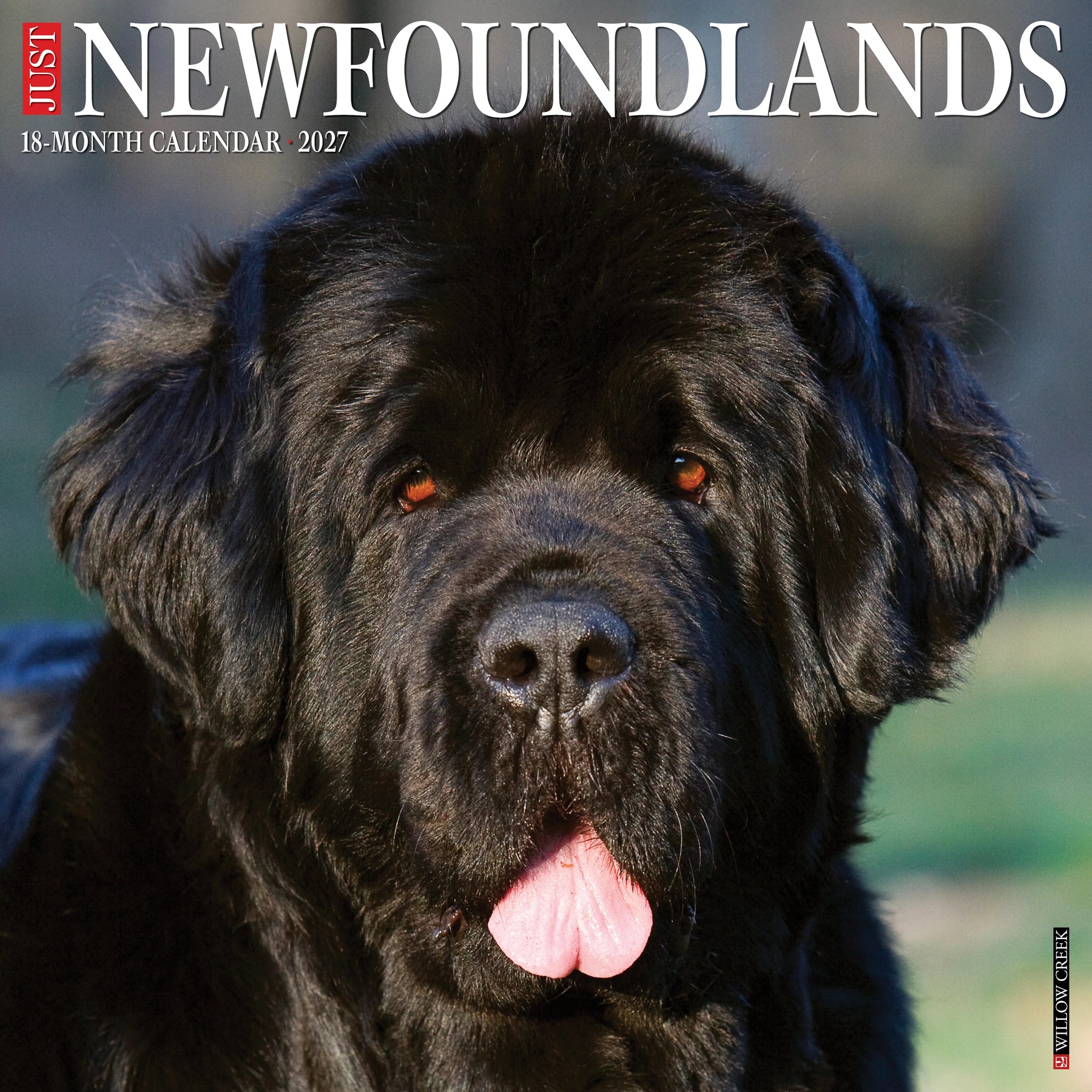 Willow Creek Press - 2027 Newfoundlands Calendar