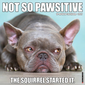 Willow Creek Press - 2027 Not So Pawsitive Calendar