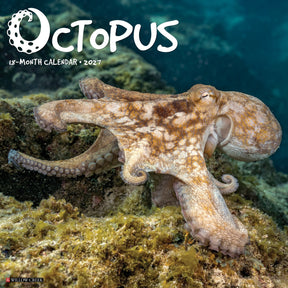 Willow Creek Press - 2027 Octopus Calendar