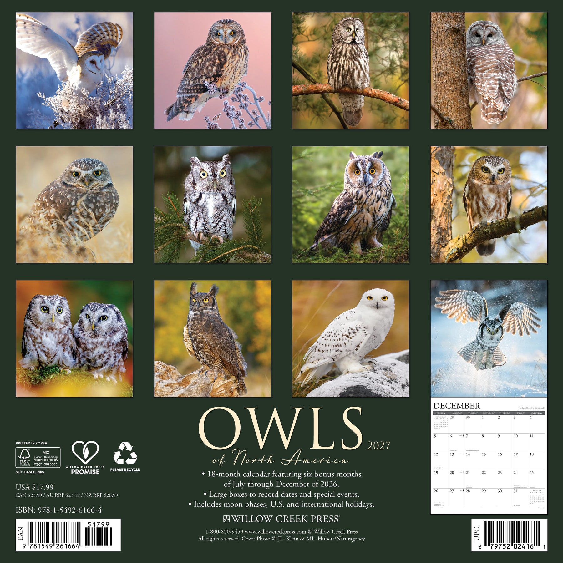 Willow Creek Press - 2027 Owls Of North America Calendar