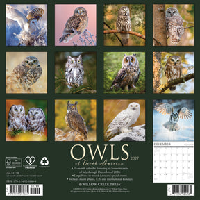 Willow Creek Press - 2027 Owls Of North America Calendar