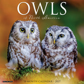 Willow Creek Press - 2027 Owls Of North America Calendar