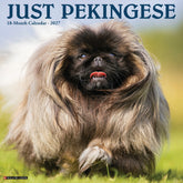 Willow Creek Press - 2027 Pekingese Calendar