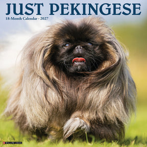 Willow Creek Press - 2027 Pekingese Calendar