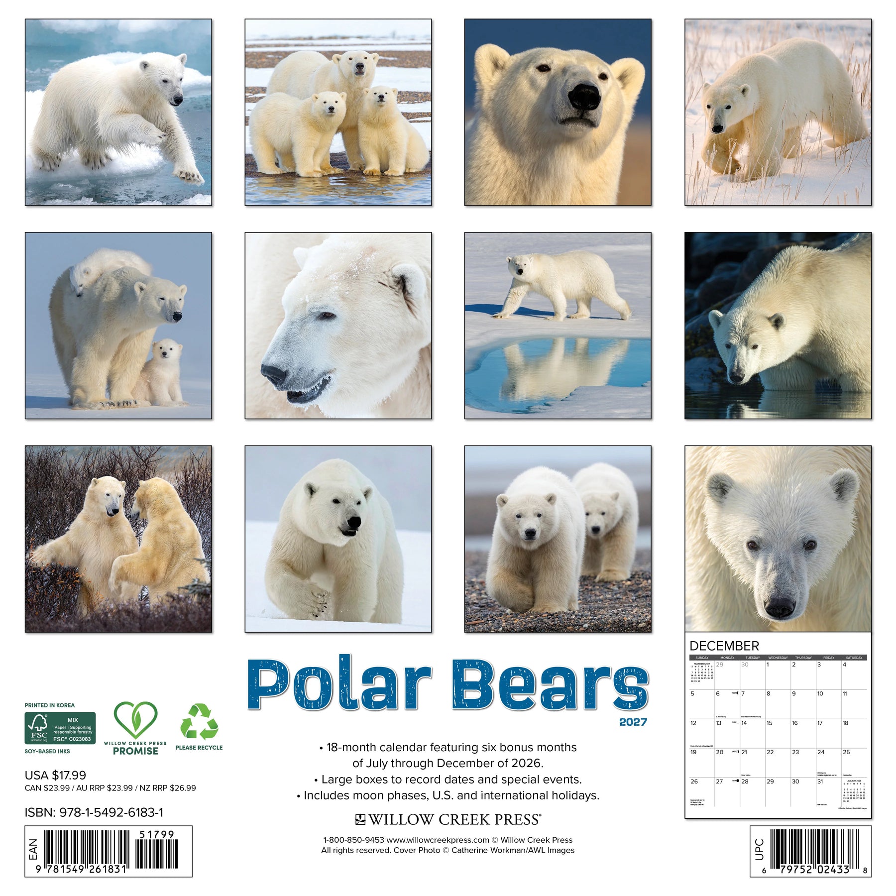 Willow Creek Press - 2027 Polar Bears Calendar
