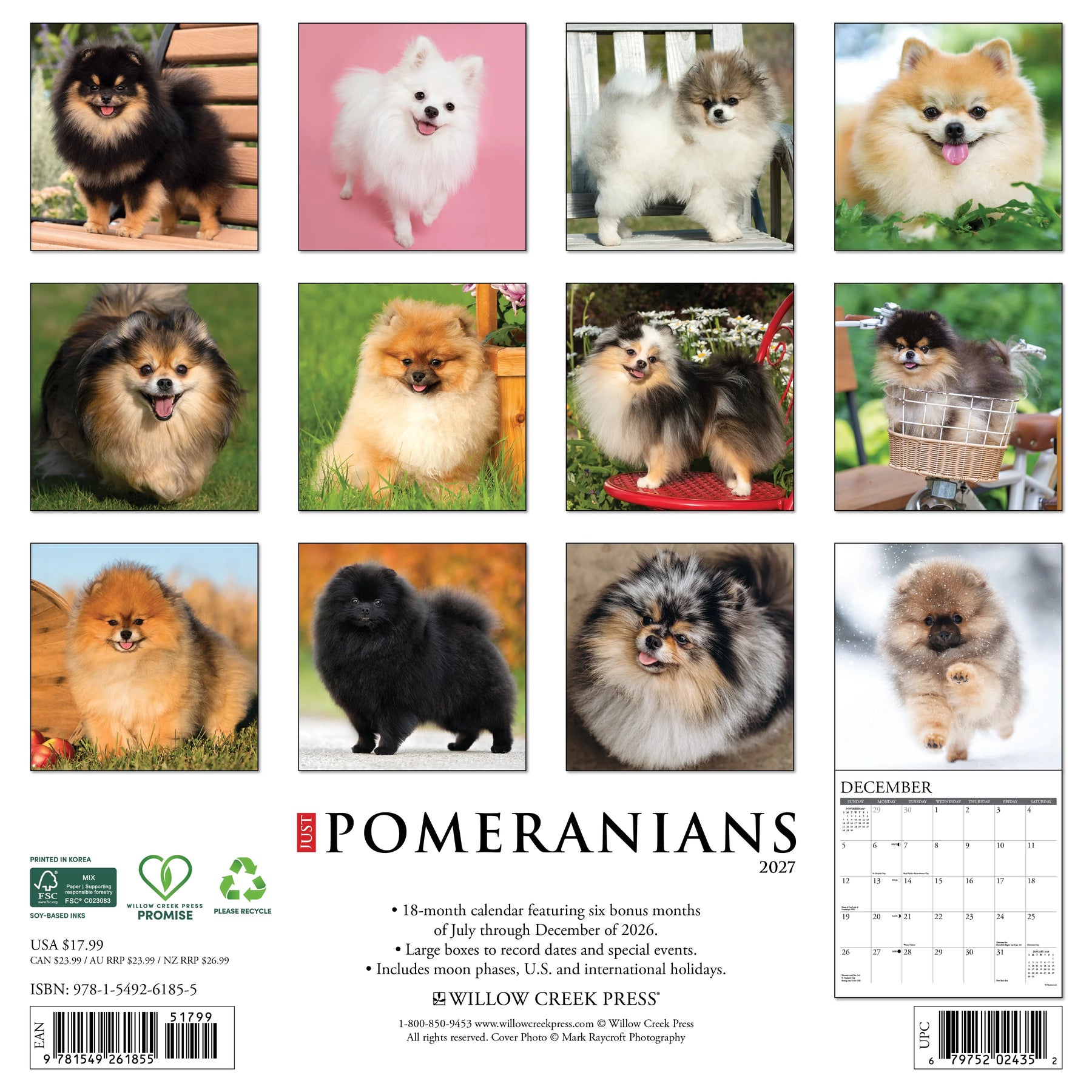 Willow Creek Press - 2027 Pomeranians Calendar