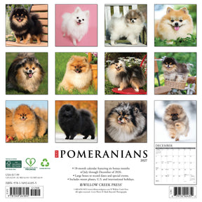 Willow Creek Press - 2027 Pomeranians Calendar