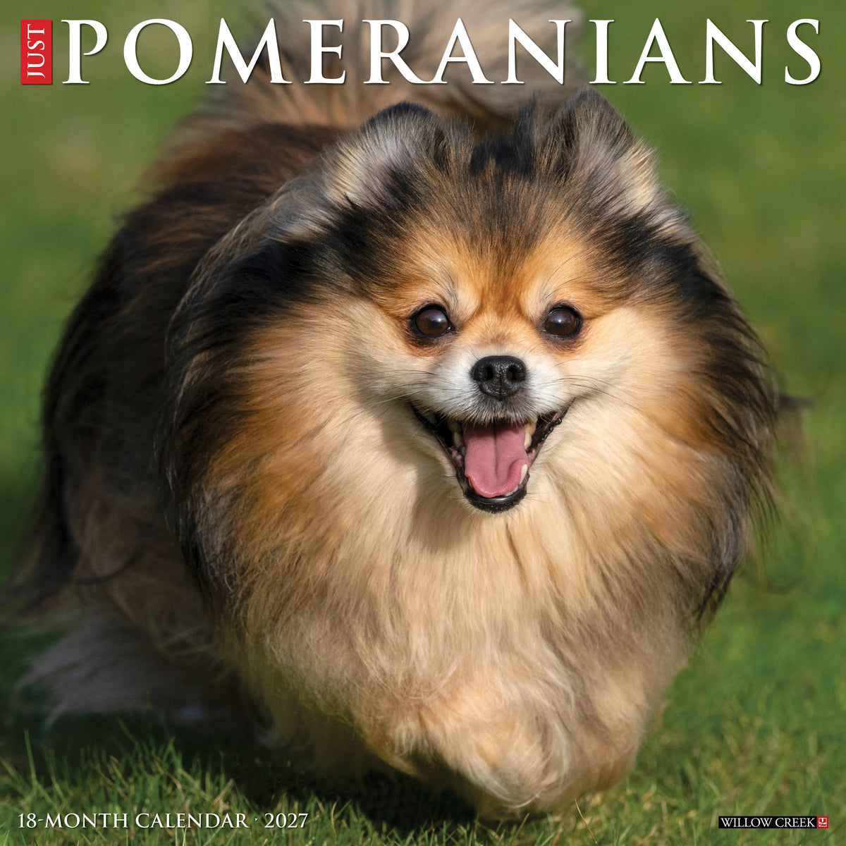 Willow Creek Press - 2027 Pomeranians Calendar