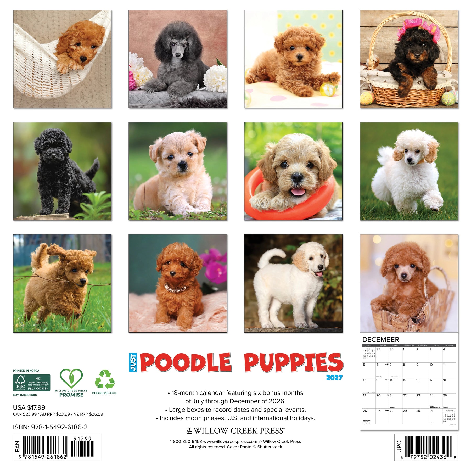 Willow Creek Press - 2027 Poodle Puppies Calendar