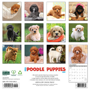 Willow Creek Press - 2027 Poodle Puppies Calendar