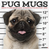 Willow Creek Press - 2027 Pug Mugs Calendar