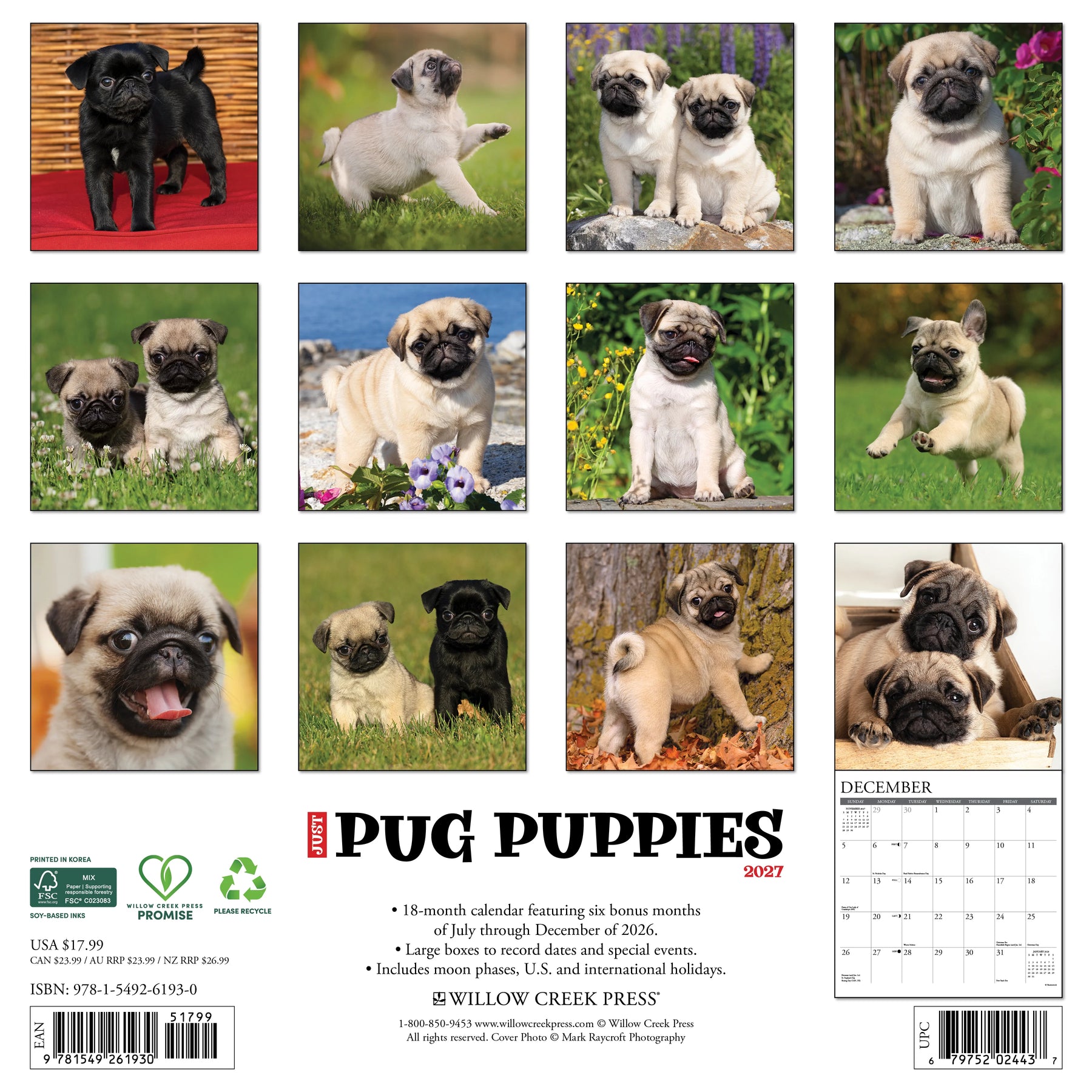 Willow Creek Press - 2027 Pug Puppies Calendar