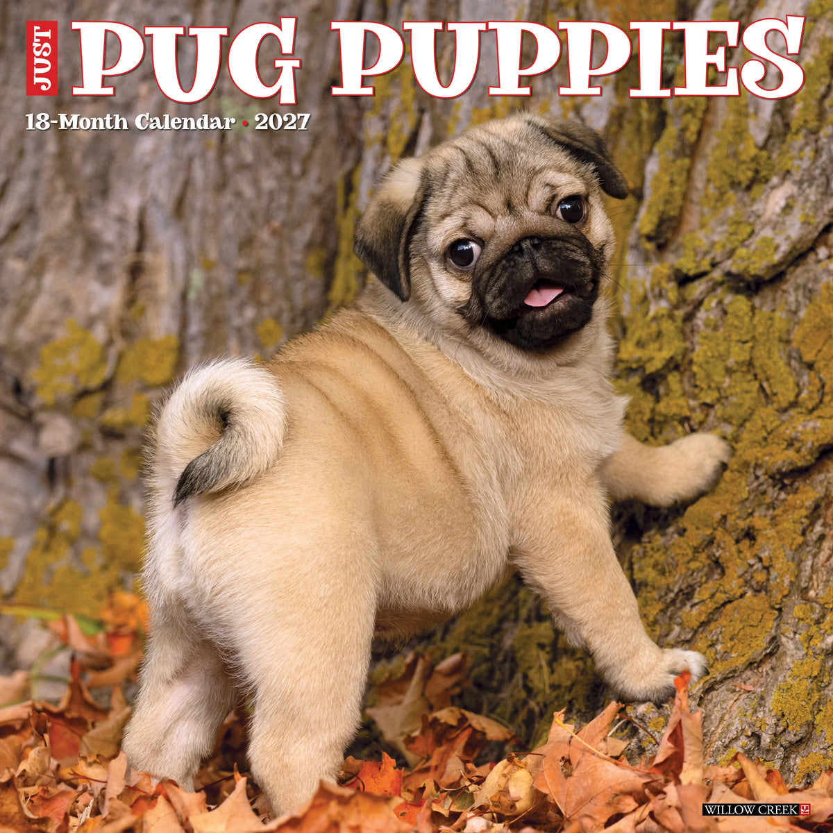 Willow Creek Press - 2027 Pug Puppies Calendar