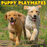 Willow Creek Press - 2027 Puppy Playmates Calendar