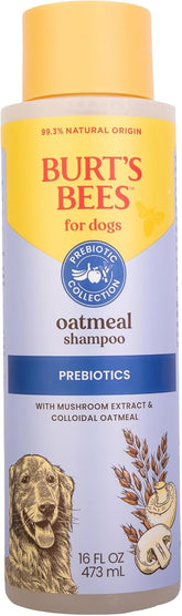Burt's Bees - Prebiotic & Mushroom Oatmeal Shampoo for Dogs