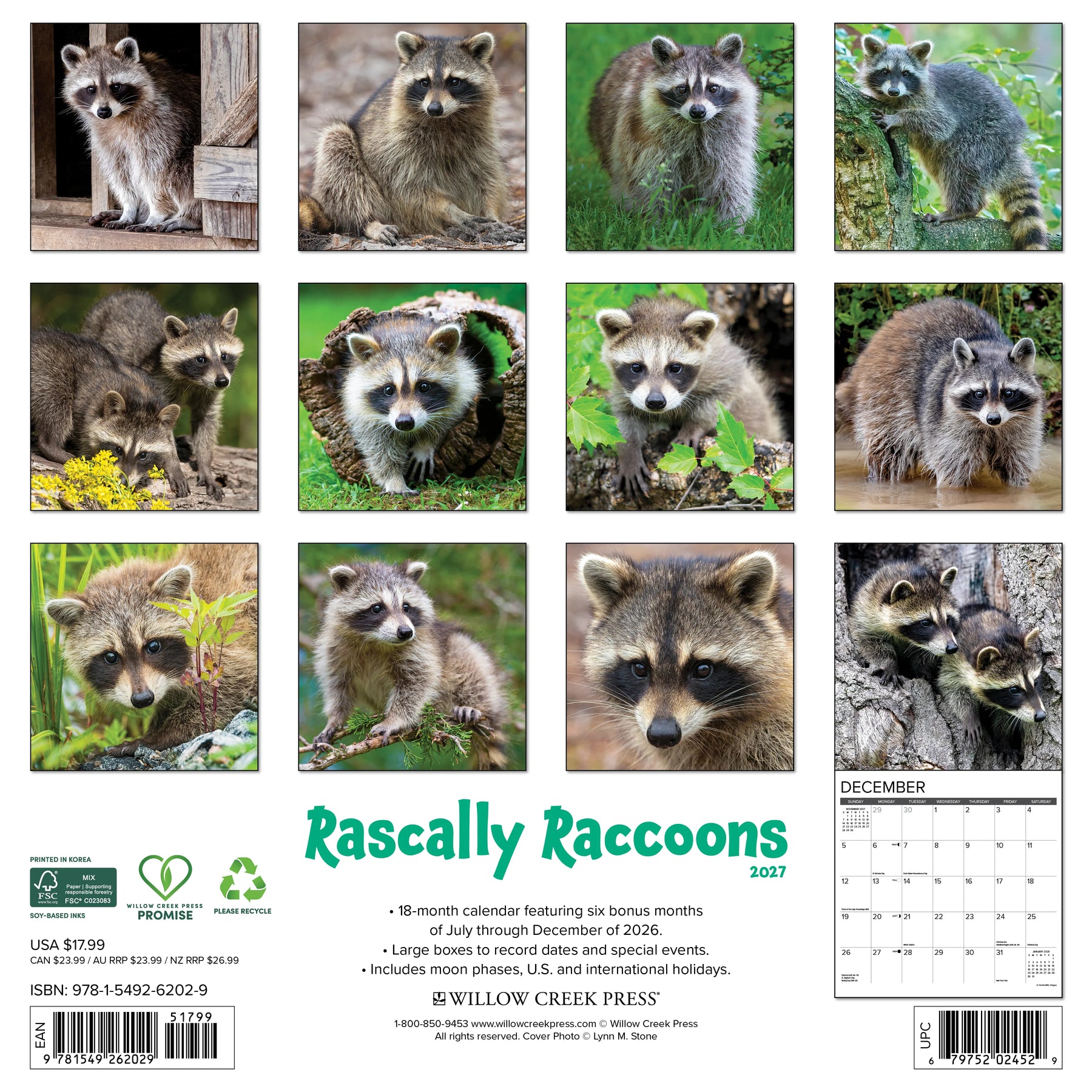 Willow Creek Press - 2027 Rascally Raccoons Calendar