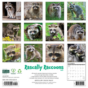 Willow Creek Press - 2027 Rascally Raccoons Calendar