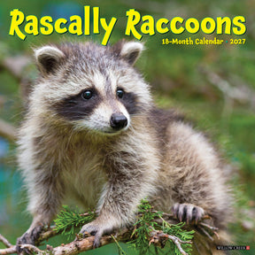 Willow Creek Press - 2027 Rascally Raccoons Calendar