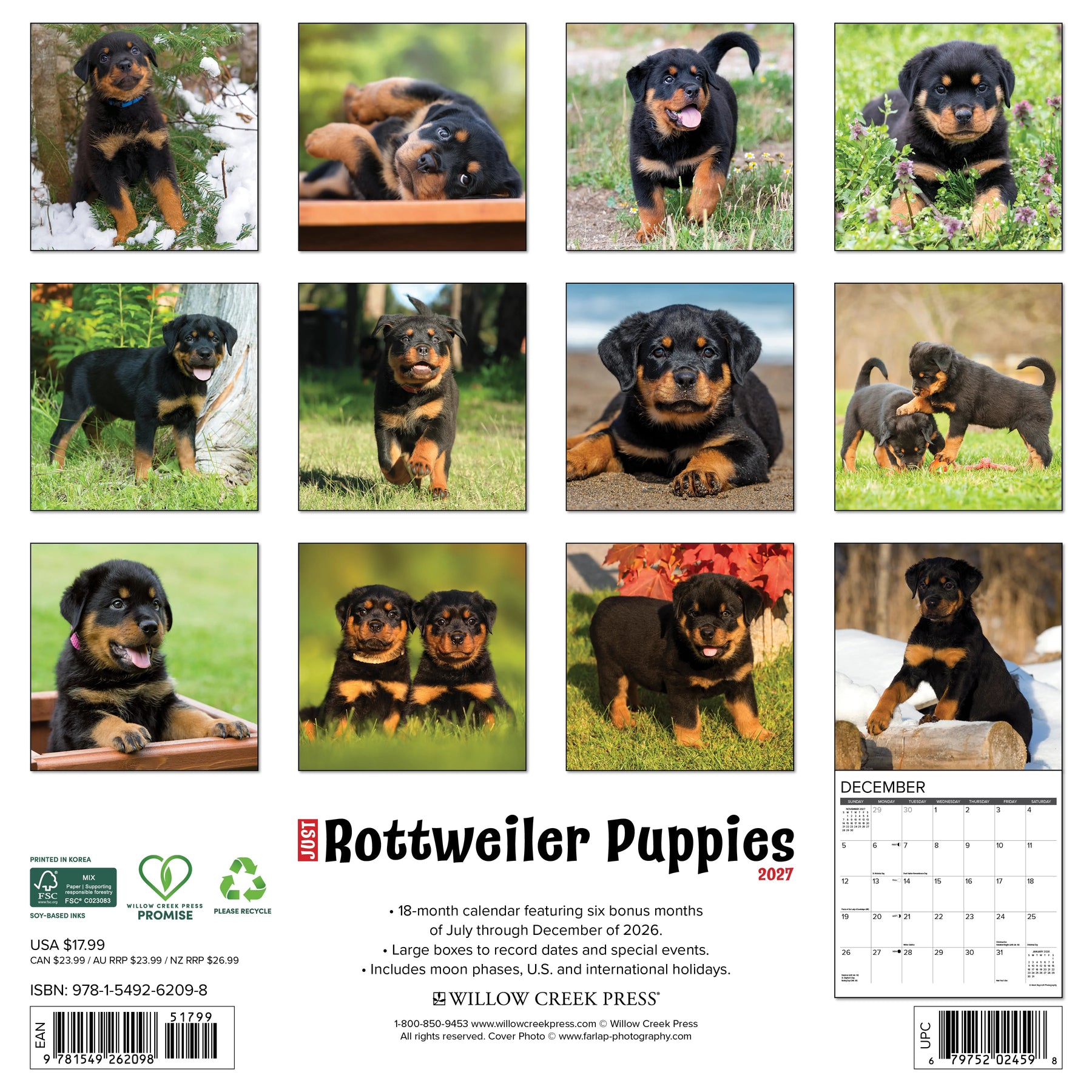 Willow Creek Press - 2027 Rottweiler Puppies Calendar