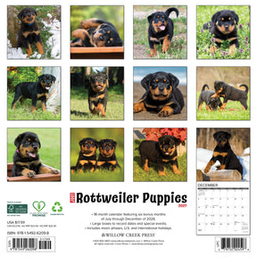 Willow Creek Press - 2027 Rottweiler Puppies Calendar
