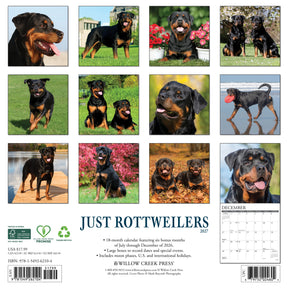 Willow Creek Press - 2027 Rottweilers Calendar