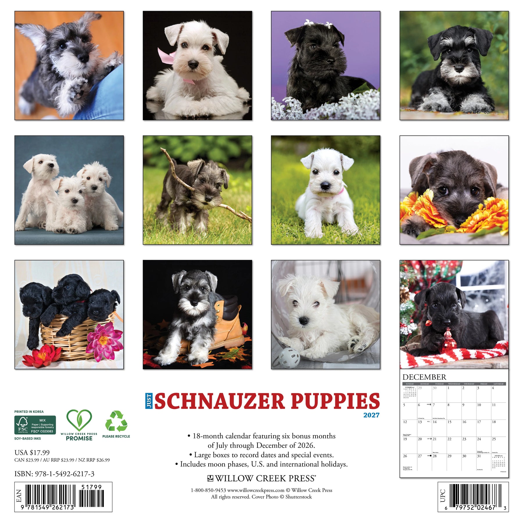 Willow Creek Press - 2027 Schnauzer Puppies Calendar